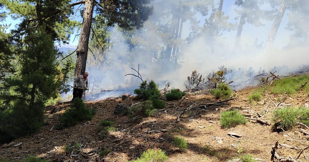 Feke'de Orman Yangını Vatandaşların Duyarlılığı ile Kontrol Altına Alındı
