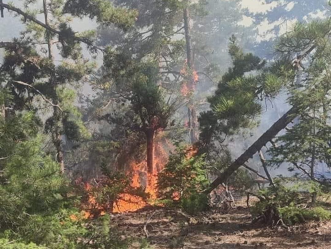 Feke’nin Konakkuran Köyü Kıy Mevkiinde Orman Yangını