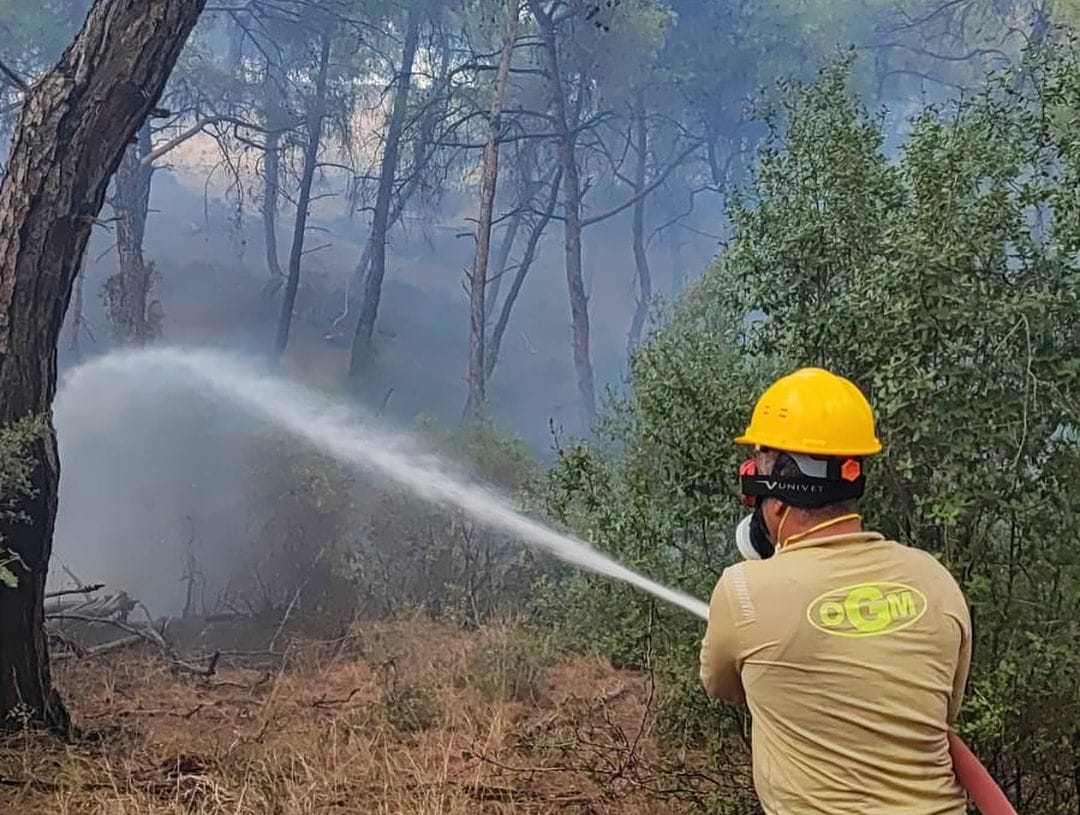 Adana Sarıçam'da Çıkan Orman Yangını Kontrol Altına Alındı