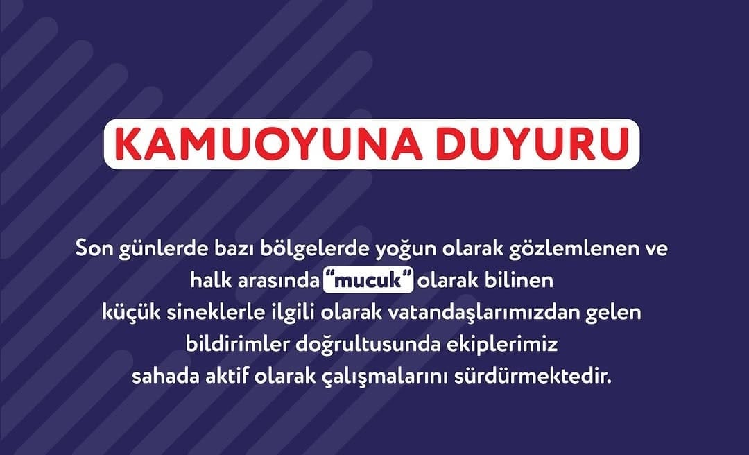 Adana Büyükşehir Belediyesi'nden “Mucuk” Sinekleri Hakkında Açıklama
