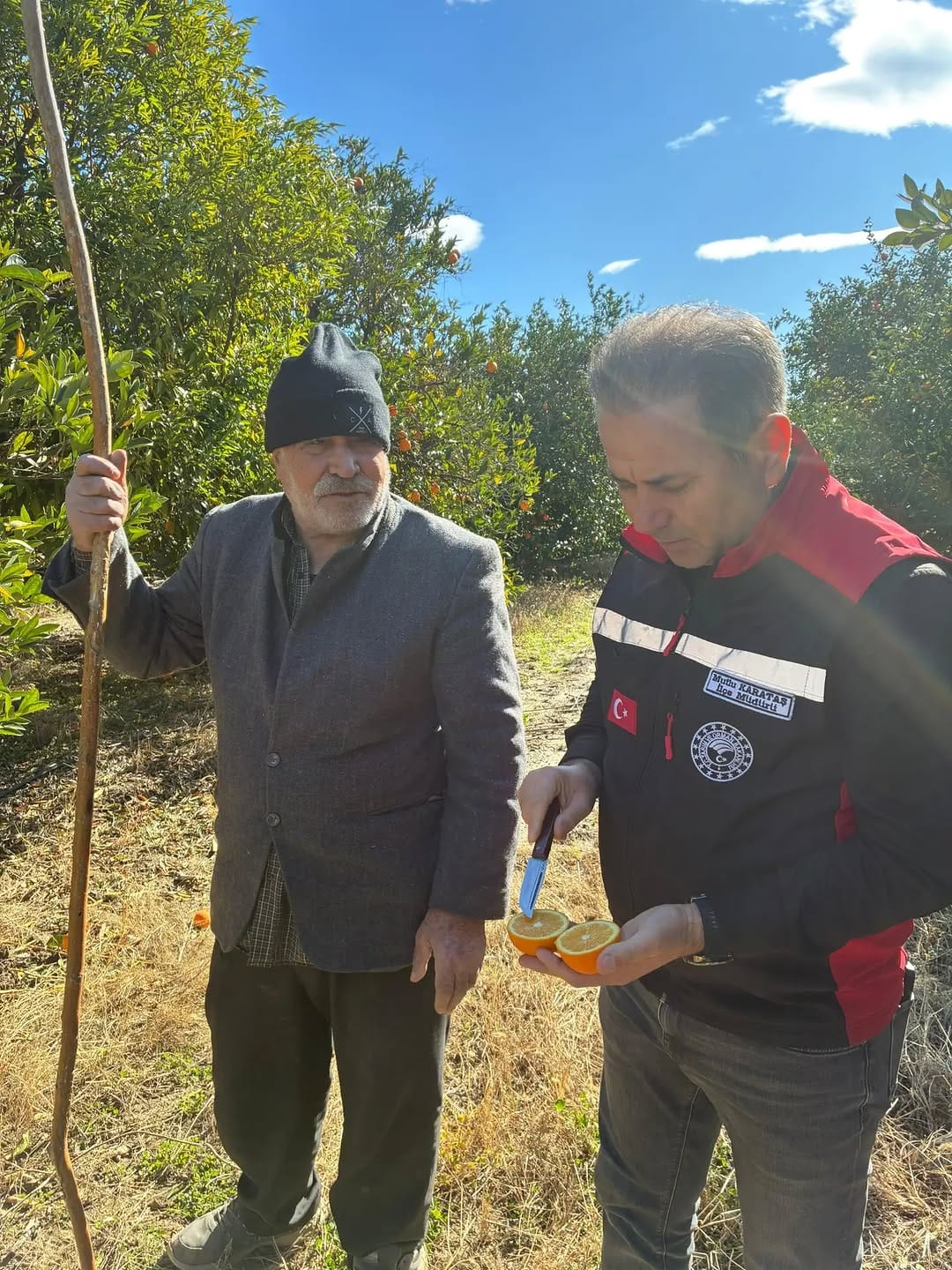 Kozan’da Narenciye Üreticisine Kritik Uyarı: Tehlike Geçmedi, Bu Geceye Dikkat!