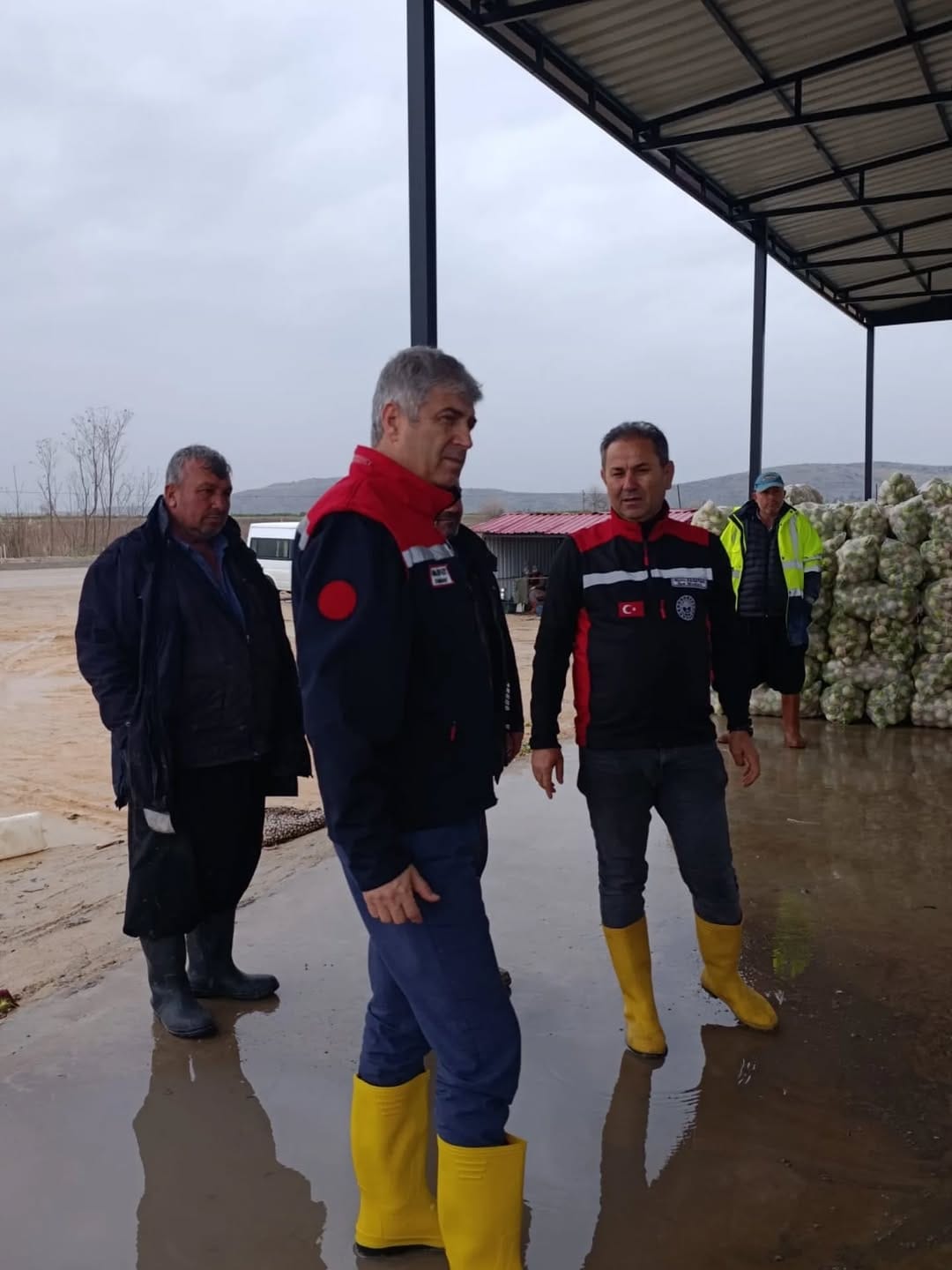 ​İl  Tarım Müdürü Bayazıt Kozan’da Turp Hasadını Yerinde İnceledi