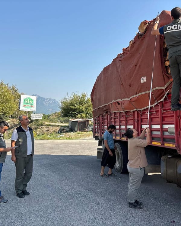 Orman Suçlarıyla Mücadelede Arama ve Denetimler Devam Ediyor