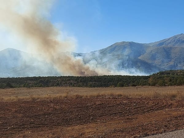 Tufanbeyli'de Çıkan Orman Yangını Ekiplerin Hızlı Müdahalesiyle Kontrol Altına Alındı