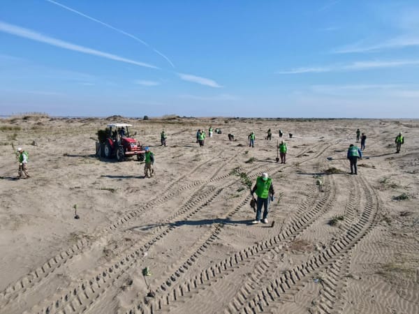 OGM, Adana'da Erozyonla Mücadele İçin 1,4 Milyon Fidan Dikti