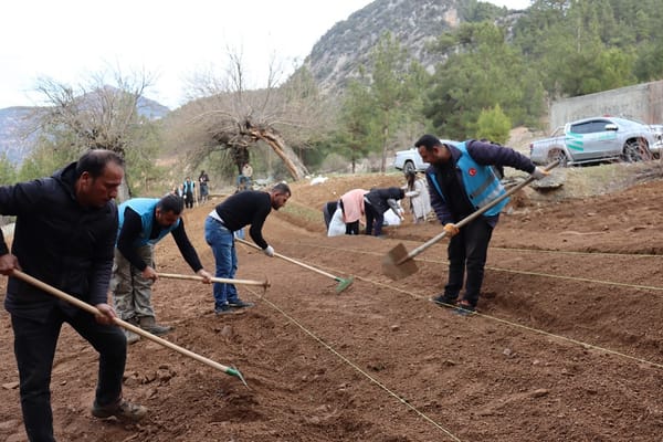 Feke Botanik Bahçesine Kavuşuyor: Salep Üretim Merkezi Açıldı