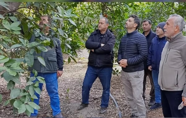 Kozan'da Meyve Ağaçları Budama Kursu Yoğun İlgi Görüyor