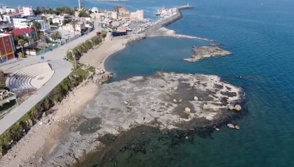 Adana’ya Dev Enerji Hamlesi: Yumurtalık’ta Özel Endüstri Bölgesi İlan Edildi