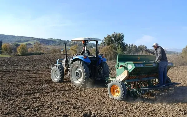 İlçe Tarım Müdürlüğü Açıkladı: Kozan’da Kuraklığa Karşı Stratejik Ürün "Nohut"